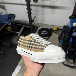 Designer Shoe Size 43