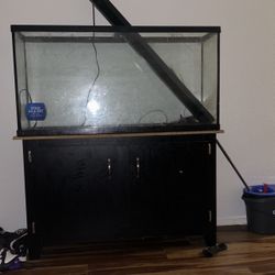 Fish Tank With Stand 