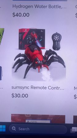 Remote control spider