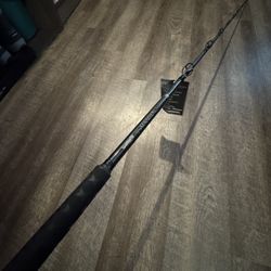 Shimano Teramar  7’6” Extra Hvy New Salt Water Fishing Rod. 