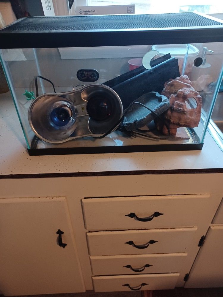 10 Gallon Reptile Tank
