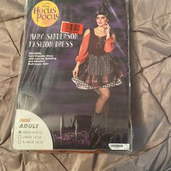 Mary Sanderson Costume