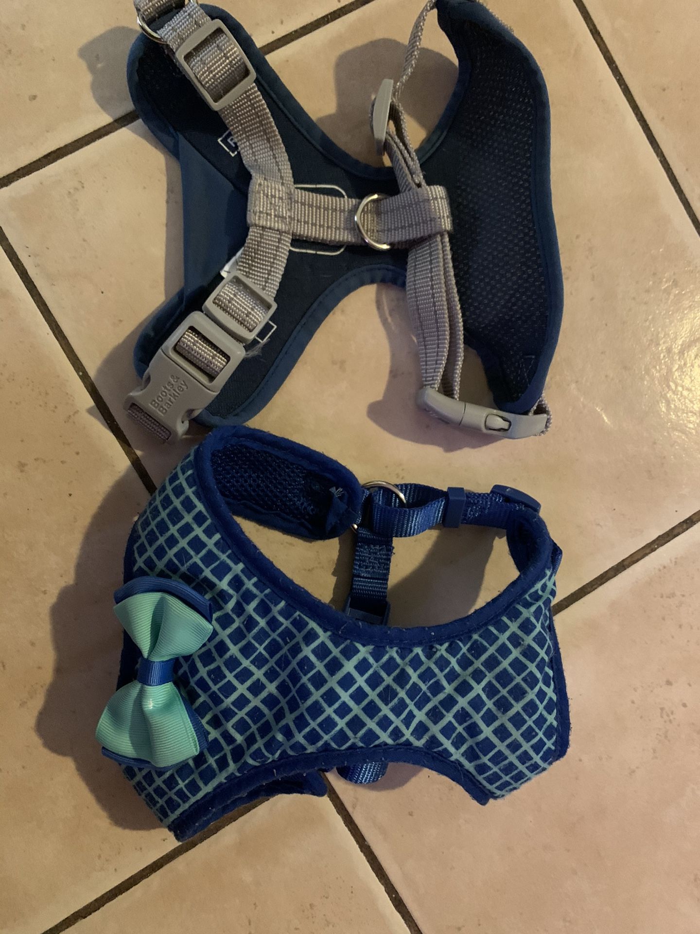 Small dog Harness