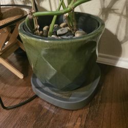 Ceramic Green Pot Only