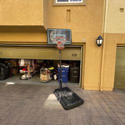 Lifetime Basketball Hoop