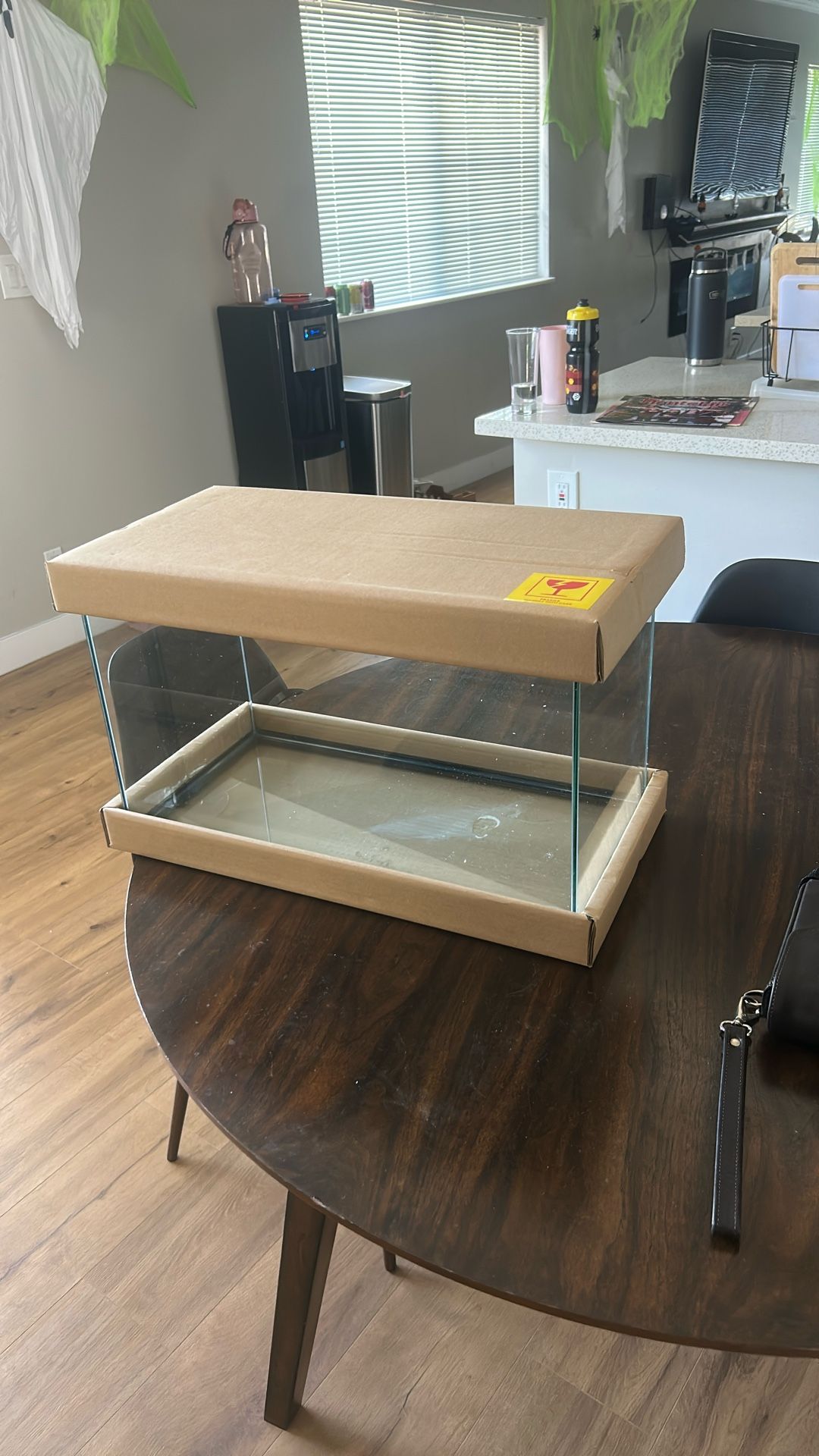 10 Gallon Tank Used