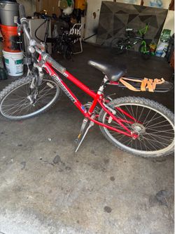 Bicicleta