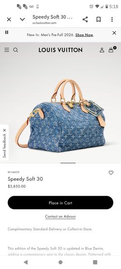 LV Monogram Denim Speedy 30