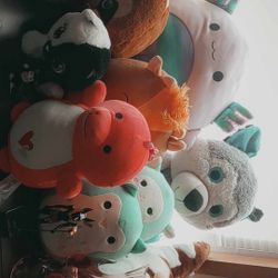 Stuffed Animal 