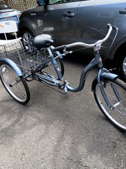 Schwinn trike for sale
