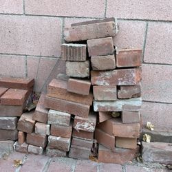 FREE bricks - You Haul 