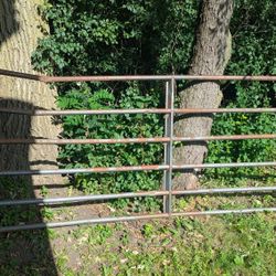 Cattle Gate 