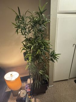 6’ Faux Bamboo Tree In Faux Copper Pot