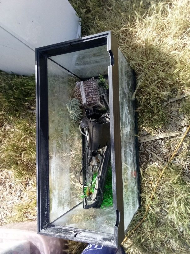 Fish Tank And Accessories
