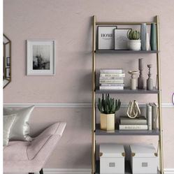 Ladder Bookcase