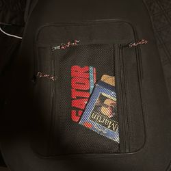 Seagull S6 Original Guitar With Case