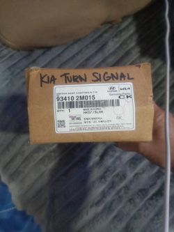 Kia Turn Signal