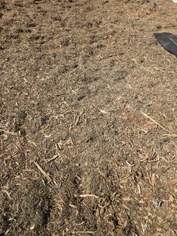 $7 mulch (dump truck load)