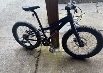 REI co op 20 in bike