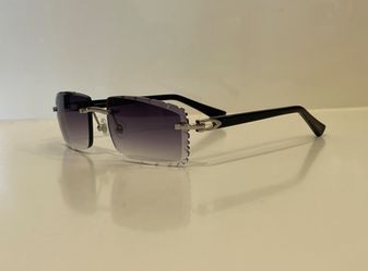 Black Cartier Buffalo Horn Sunglasses Silver Glasses