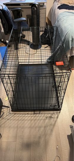 Xl dog dog. Measurements in pictures