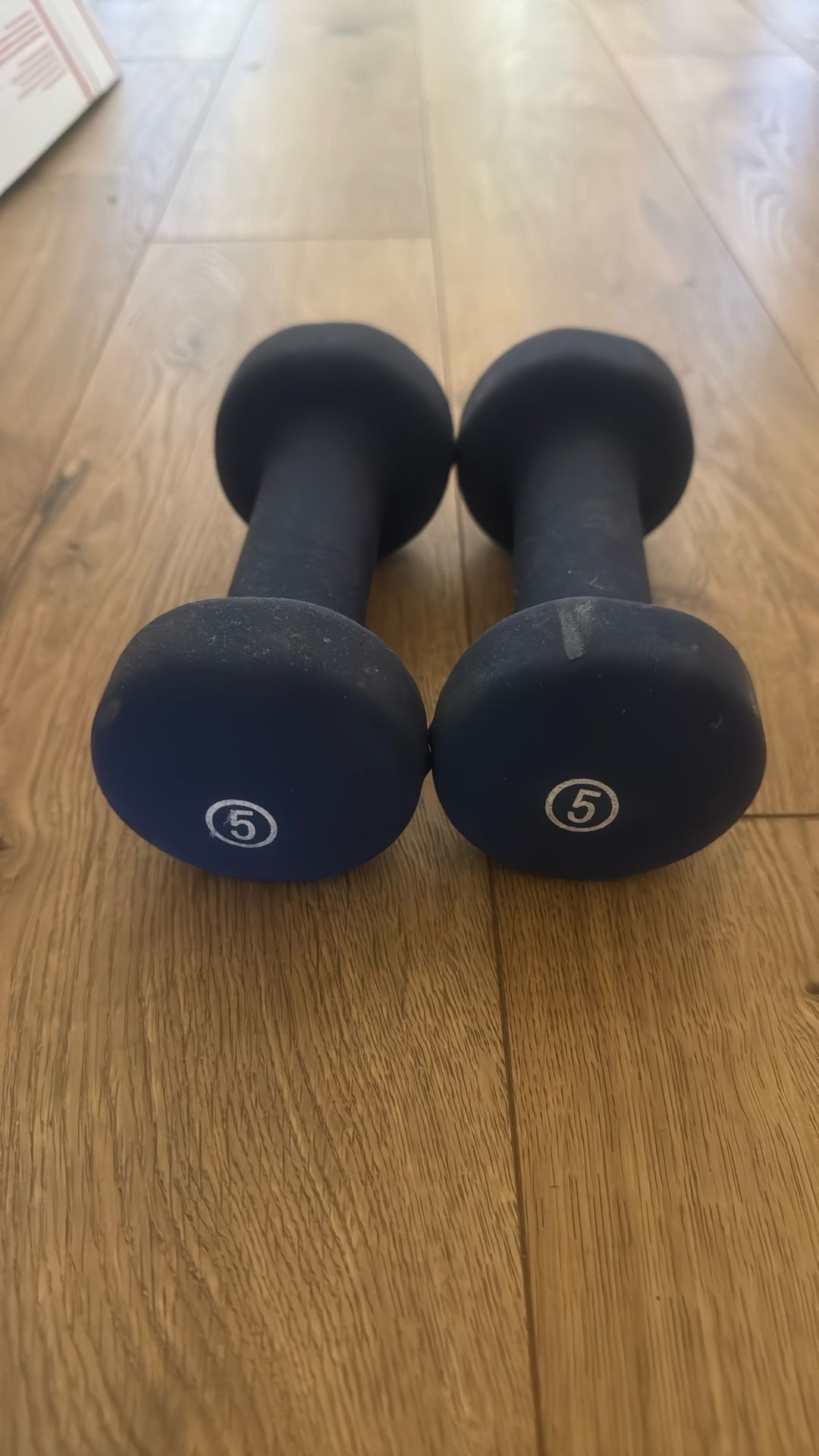 5lb Weights
