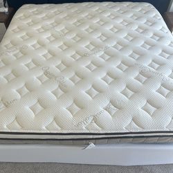 Nest - Owl natural Latex King Mattress & cover