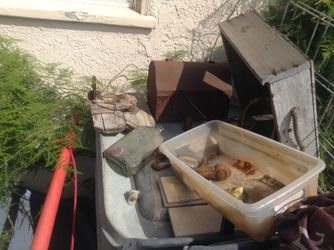 Vintage items, wooden roped handle box,glass bottles ,old gate latch on old fence piece. '50's lunch box,handsaws,1930's Maytag Washer