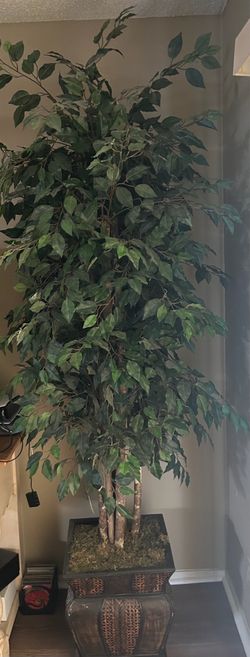 Artificial Ficus