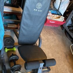 Gold Gym Bench 