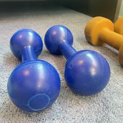 A Set of 5 Lb Dumbbells 