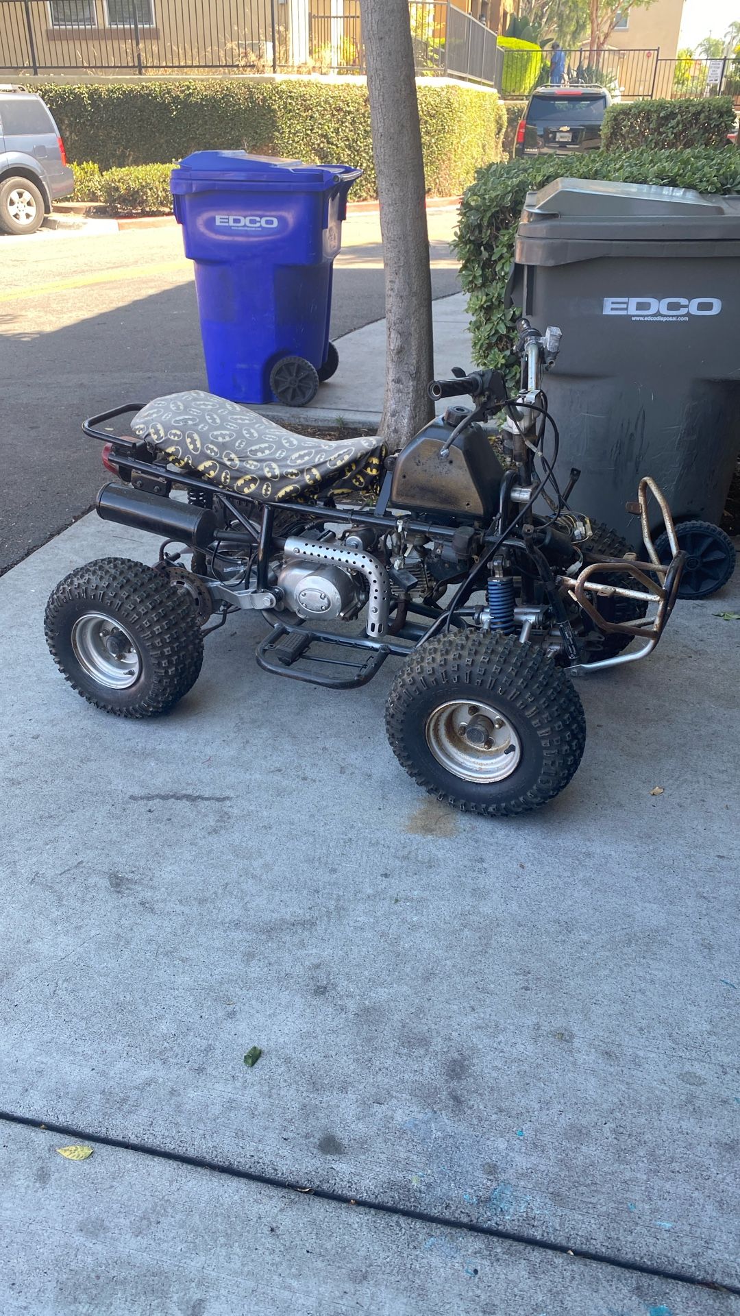 Kids Quad 