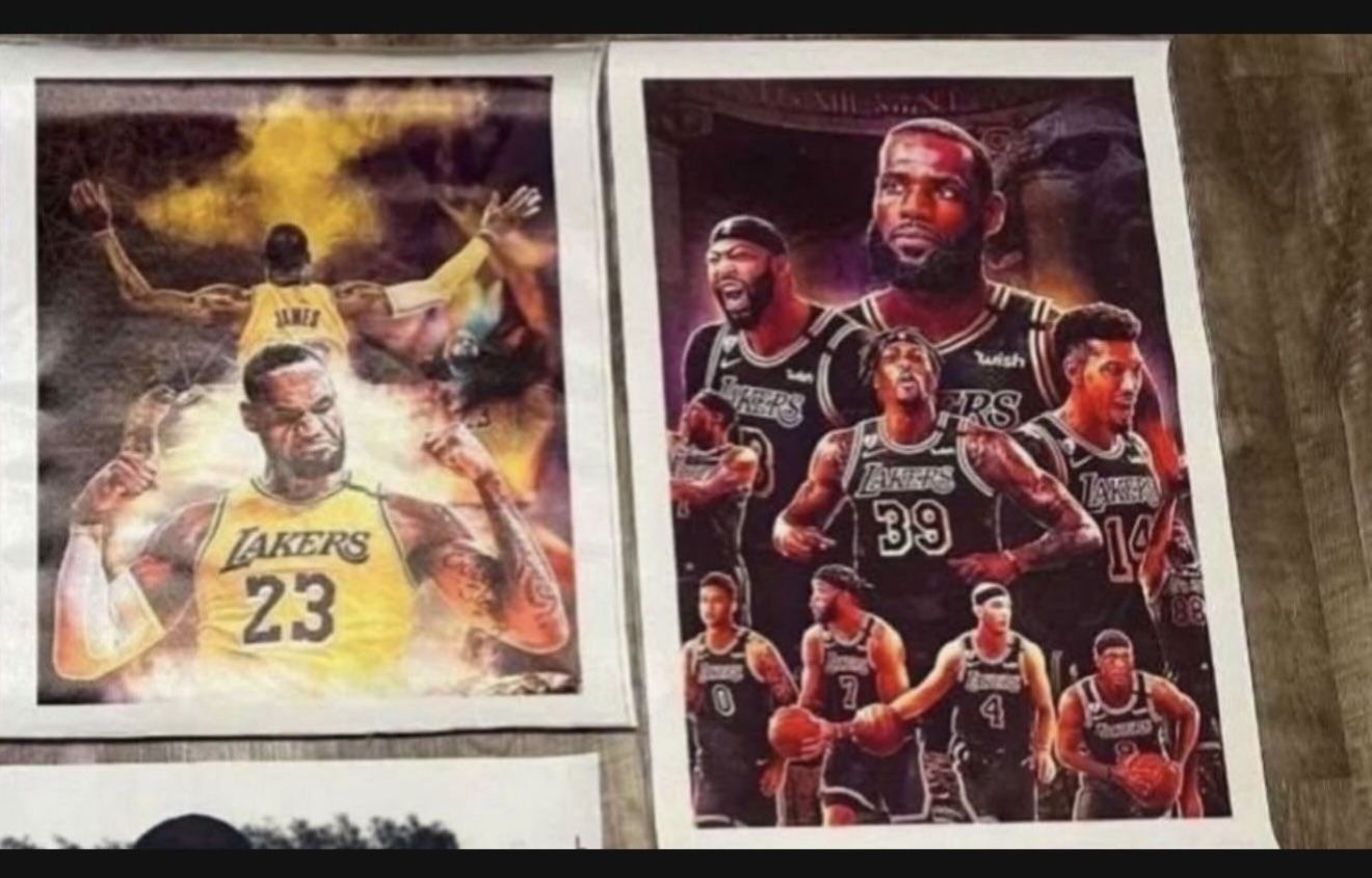 Lebron James Canvas Posters $10 Each