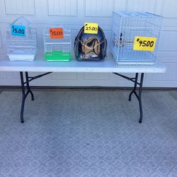 Bird / Parrot / Lots Of Related Items 