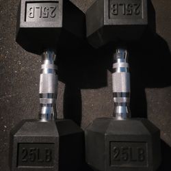 25lbs Dumbells Weights