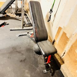 Weight Bench 