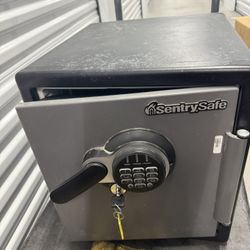 SentrySafe SFW123GTC Fireproof and Waterproof Safe