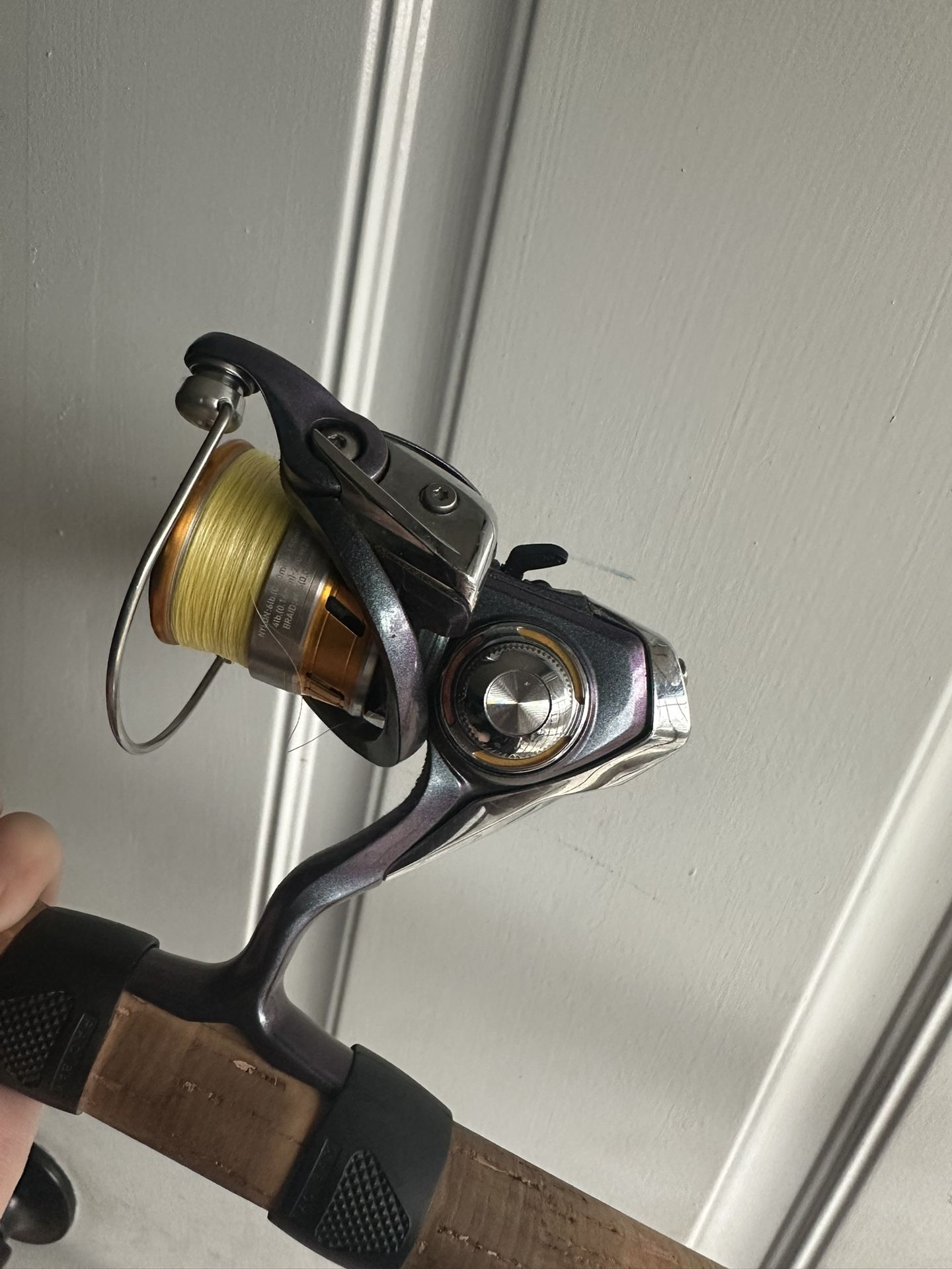 Daiwa Regal Fishing Reel