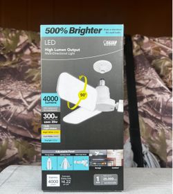 High Lumen Output Multi-Directional Light