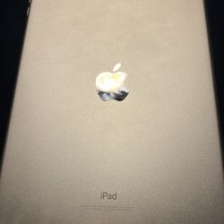 Apple Ipad