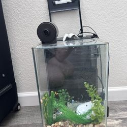 Fish Tank