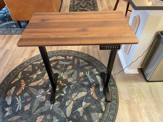 Electric Sit/Stand Desk