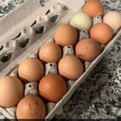 Organic Eggs