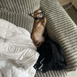 Real Feather Down Couch Comes Apart In Two Pieces Only Two Months Old Paid 3300 But I Have To Leave And Go Out Of State Because Of The Death In The Fa