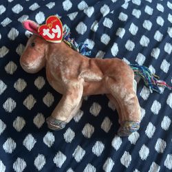 Beanie Babies Collection