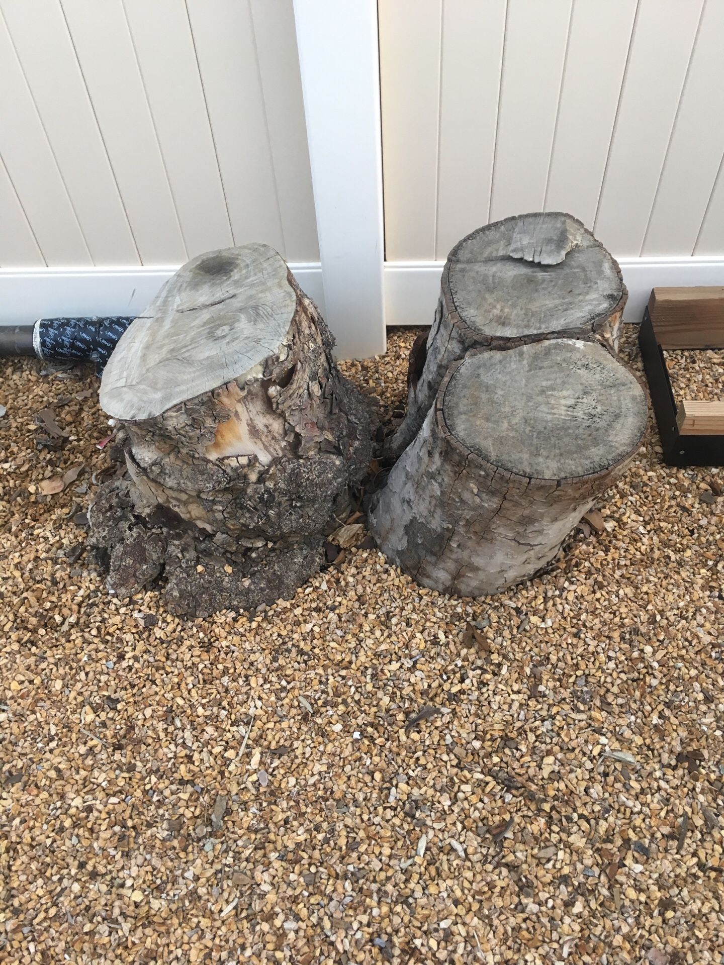 Stumps for firewood FREE