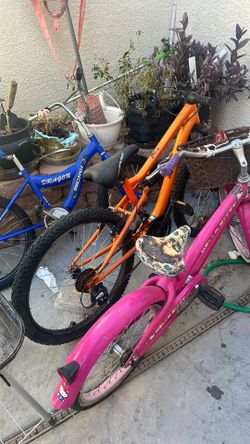 bikes