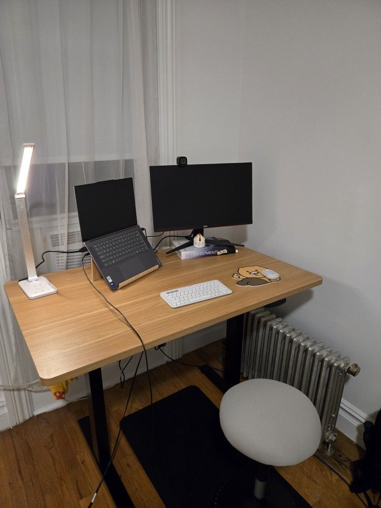 Automatic Standing Desk, Large