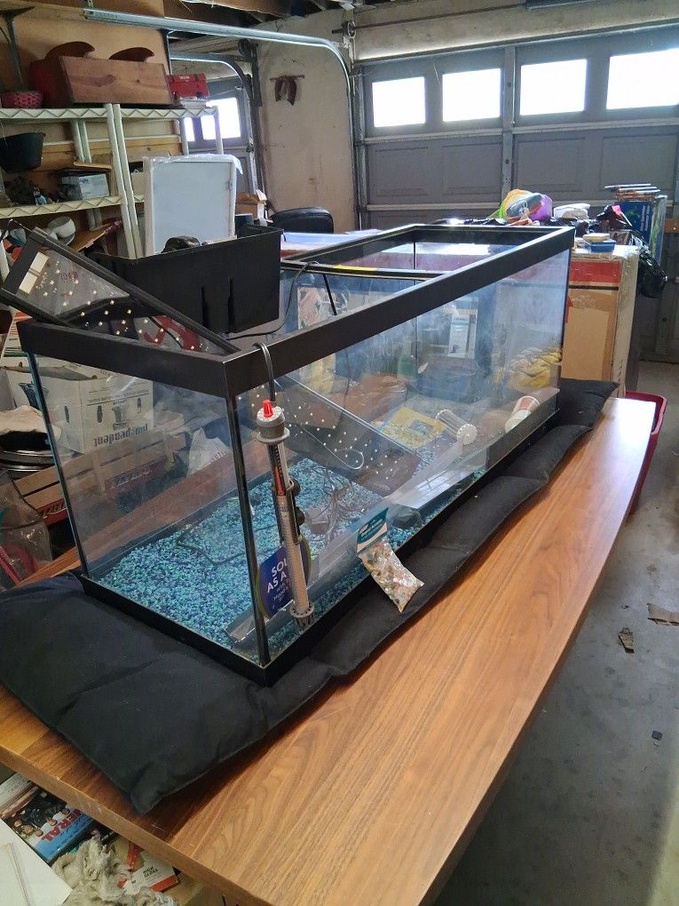 Fish Tank 100 Gallon