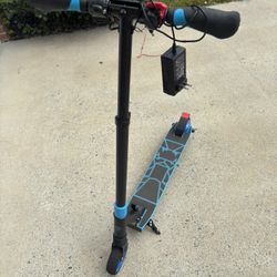 Swagtron Electric Scooter Model SG-8